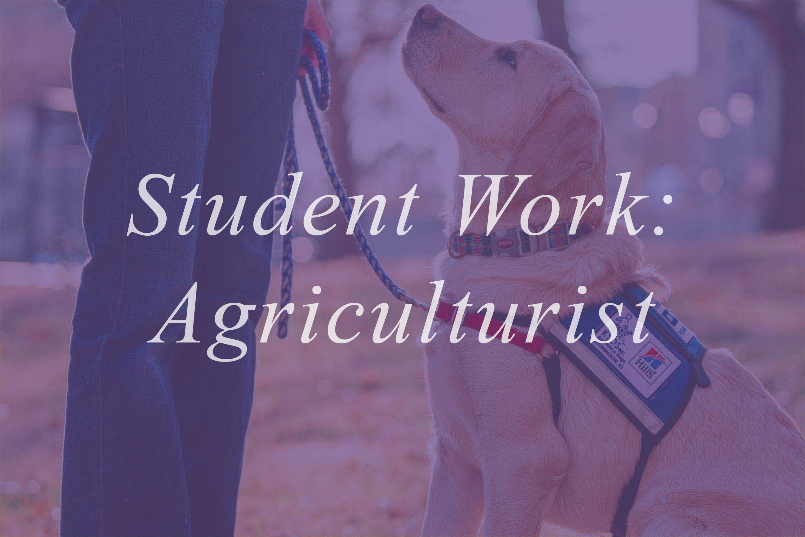 Click to go to Agriculturist magazines, work produced by students during their time in ACJ.