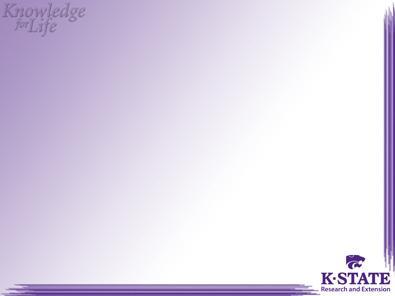 Lines Powerpoint