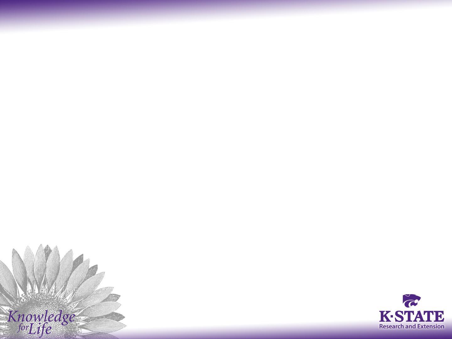 Sunflower Template