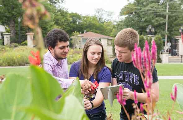 phd agricultural education online