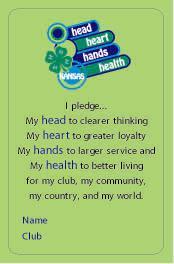 Marketing>Back view of 4-H Membership Cards